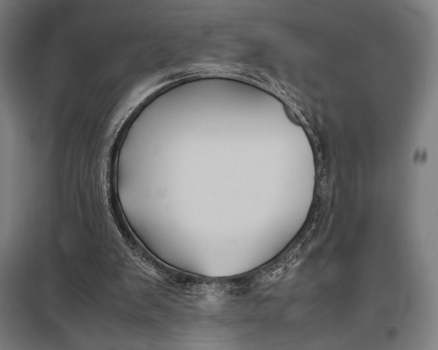 X0000097900103200803281348