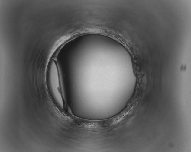 X0000097900104200803281348