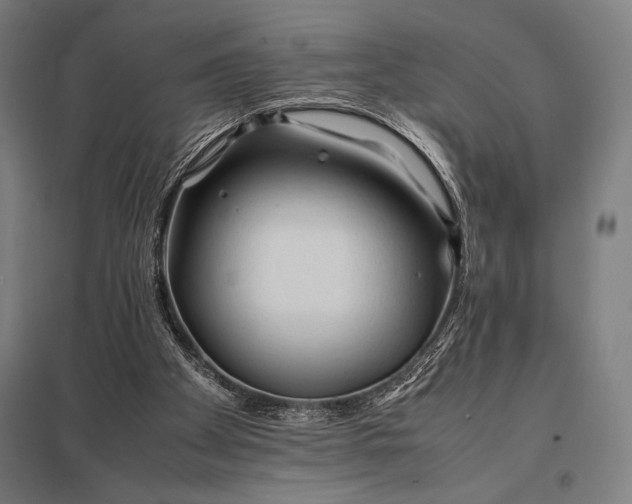 X0000097900105200803281348