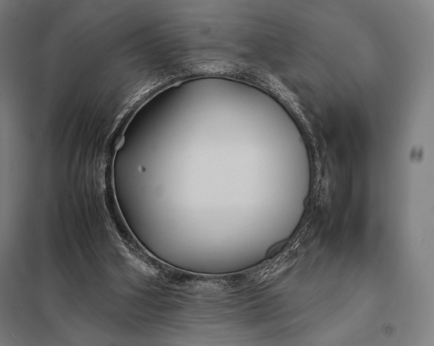 X0000097900106200803281348