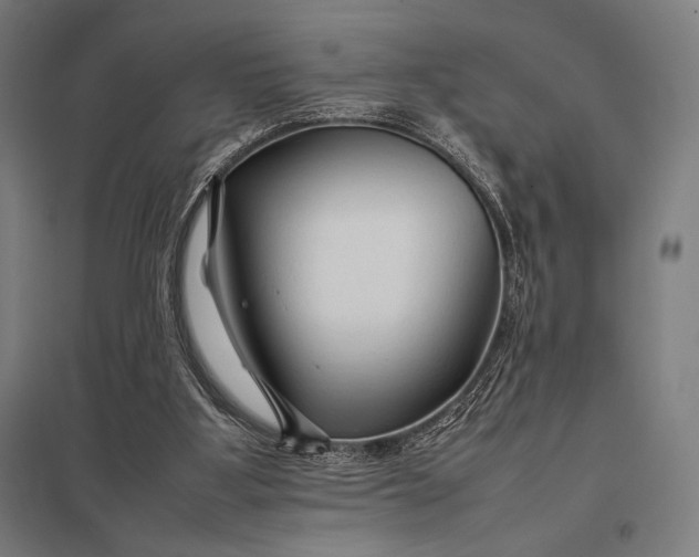 X0000097900107200803281348