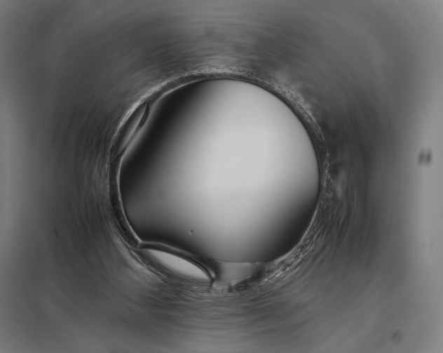 X0000097900108200803281348