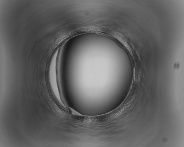 X0000097900109200803281348