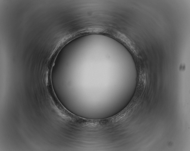 X0000097900110200803281348