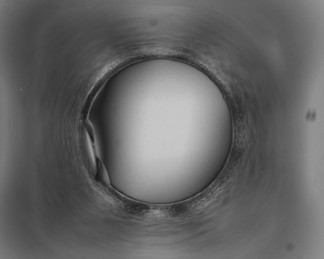 X0000097900111200803281348