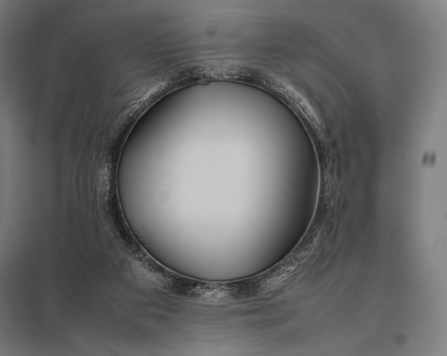 X0000097900113200803281348