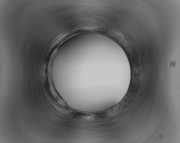 X0000097900116200803281348