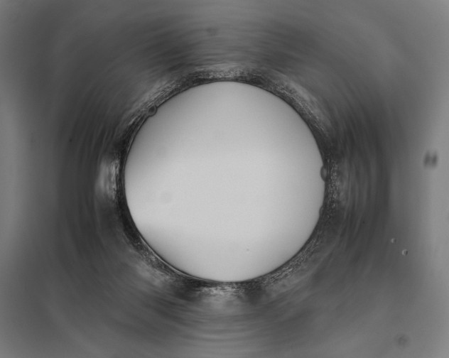 X0000097900118200803281348