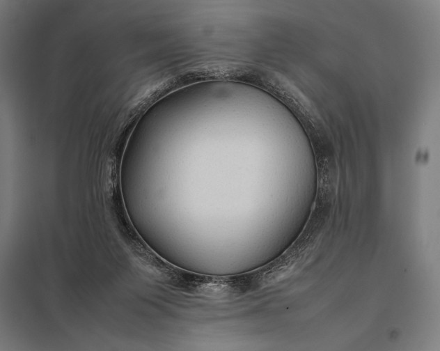 X0000097900119200803281348