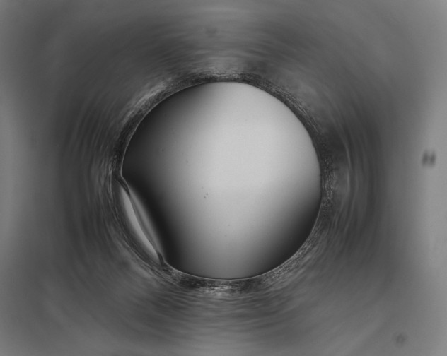 X0000097900120200803281348