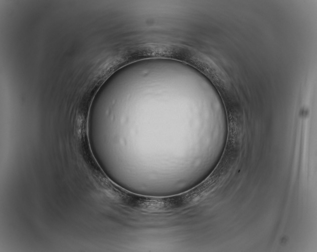 X0000097900123200803281348