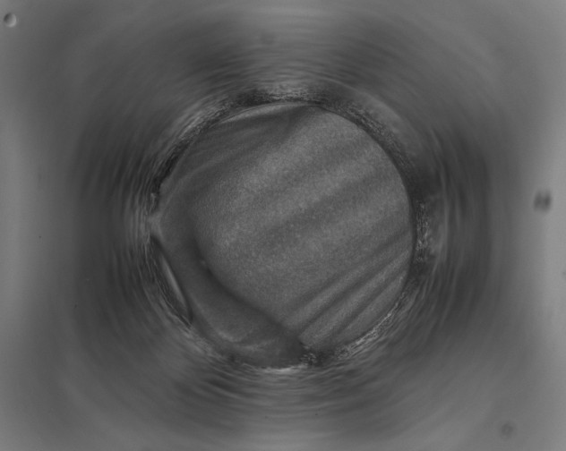 X0000097900124200803281348