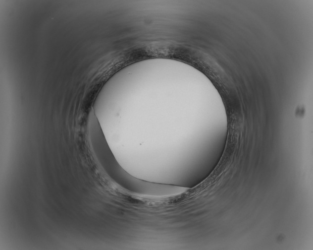 X0000097900125200803281348