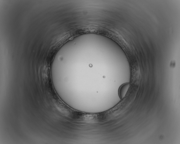 X0000097900126200803281348