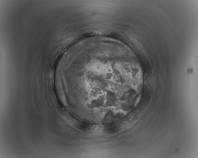 X0000097900127200803281348