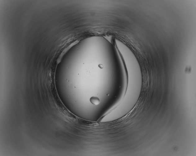 X0000097900128200803281348