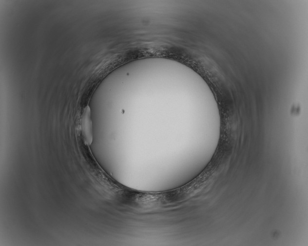 X0000097900129200803281348