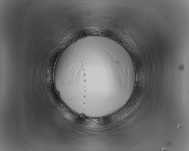 X0000097900131200803281348