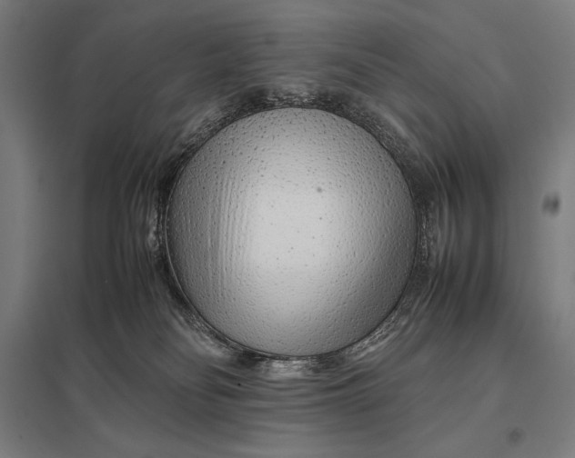 X0000097900134200803281348