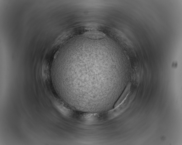 X0000097900136200803281348