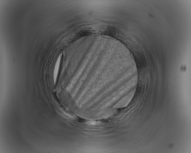 X0000097900137200803281348