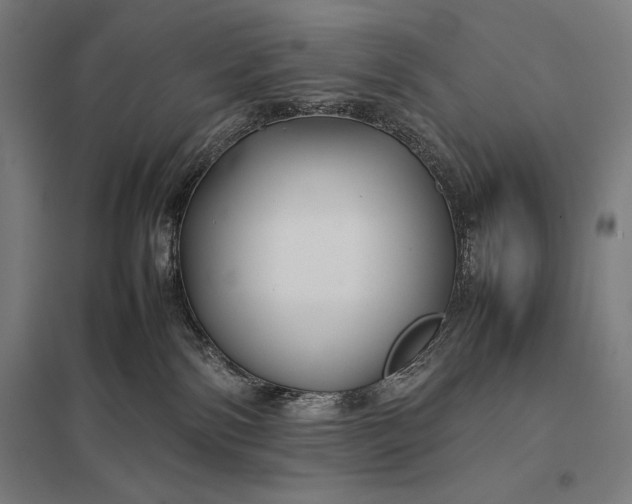 X0000097900138200803281348