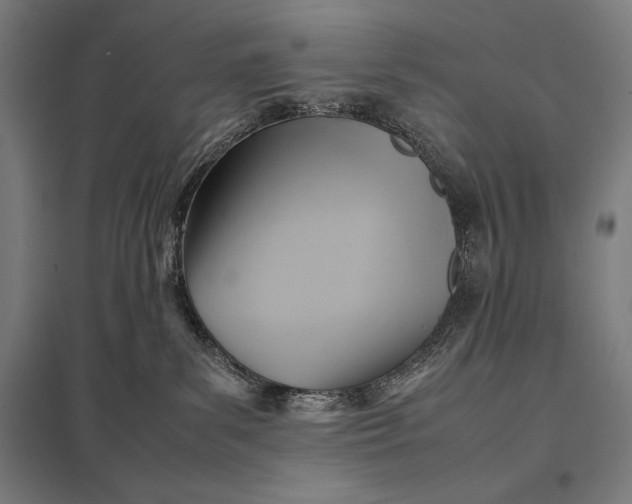 X0000097900139200803281348