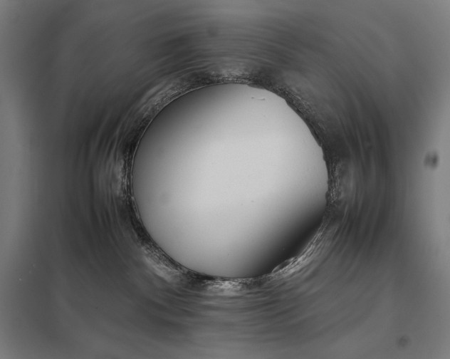 X0000097900140200803281348