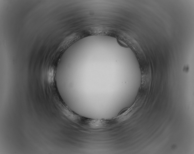 X0000097900142200803281348