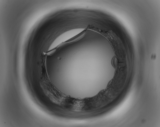 X0000097900143200803281348