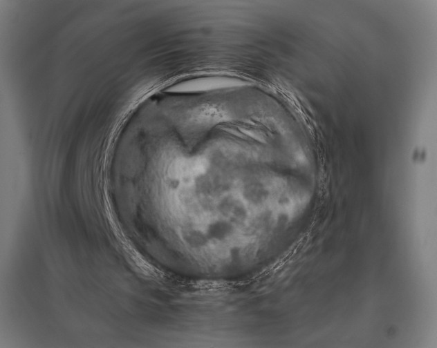 X0000097900145200803281347