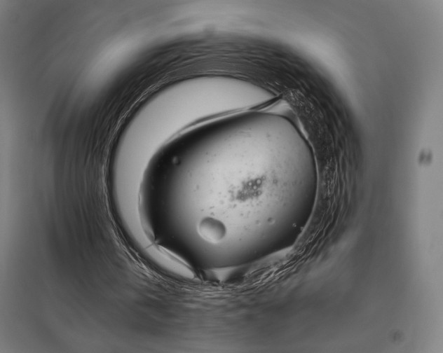 X0000097900146200803281347