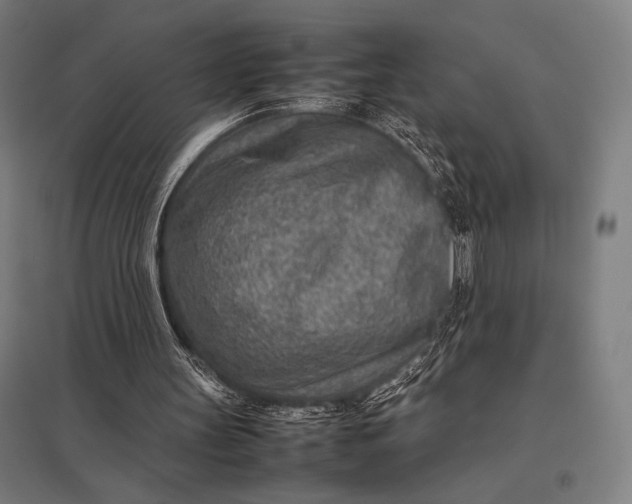 X0000097900147200803281347