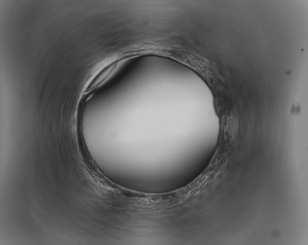 X0000097900148200803281347