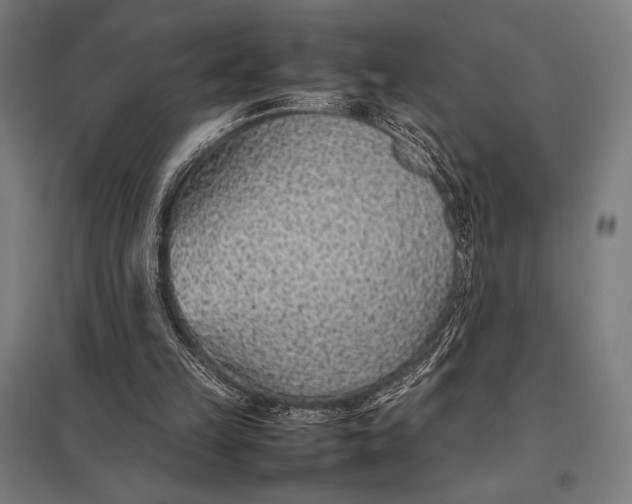 X0000097900149200803281347