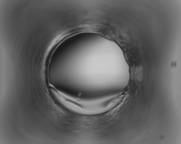 X0000097900150200803281347