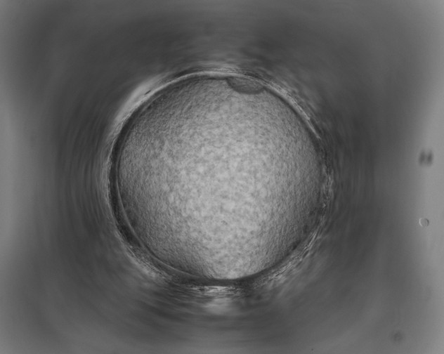 X0000097900151200803281347