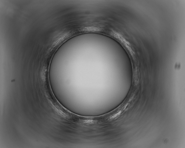 X0000097900153200803281347