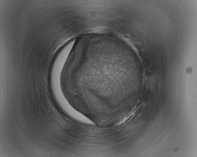 X0000097900154200803281347