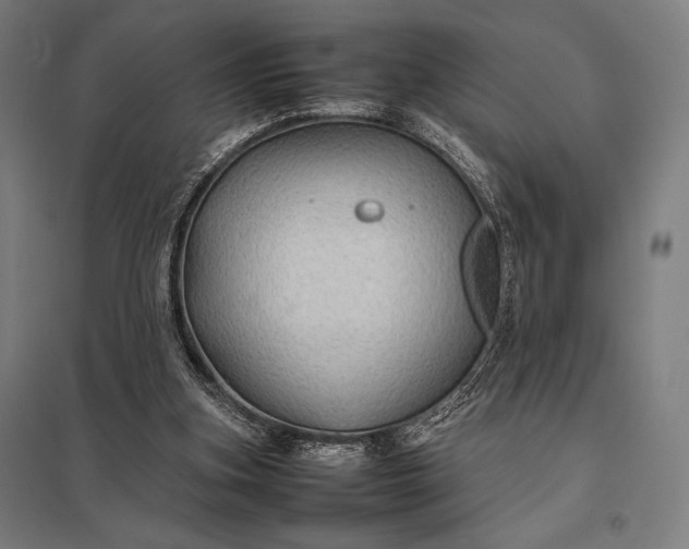 X0000097900155200803281347