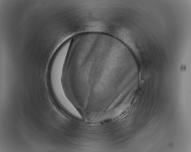 X0000097900156200803281347