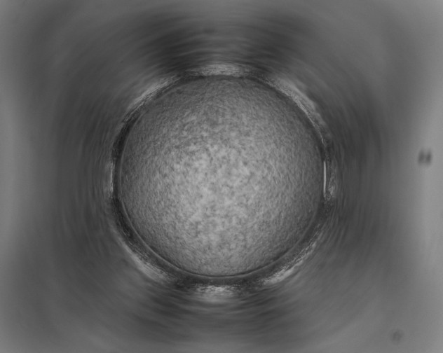 X0000097900157200803281347