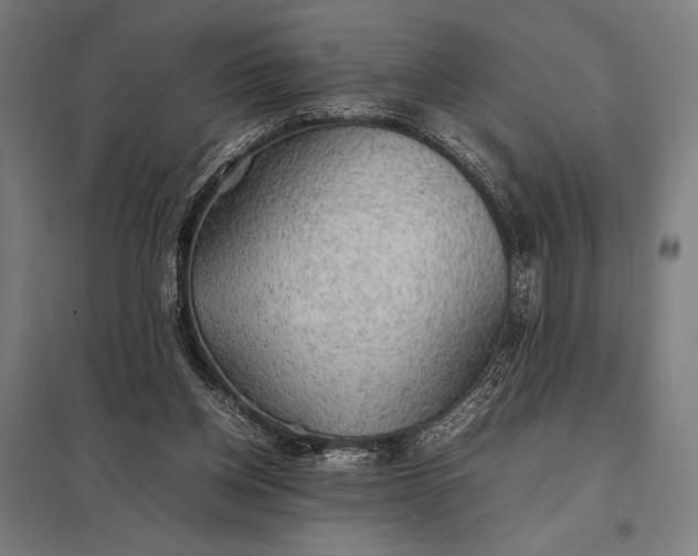 X0000097900158200803281347