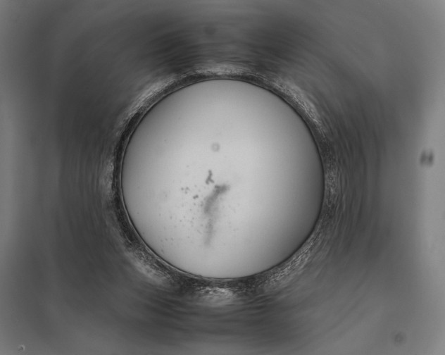 X0000097900159200803281347