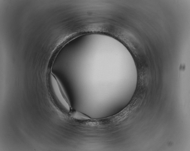 X0000097900160200803281347