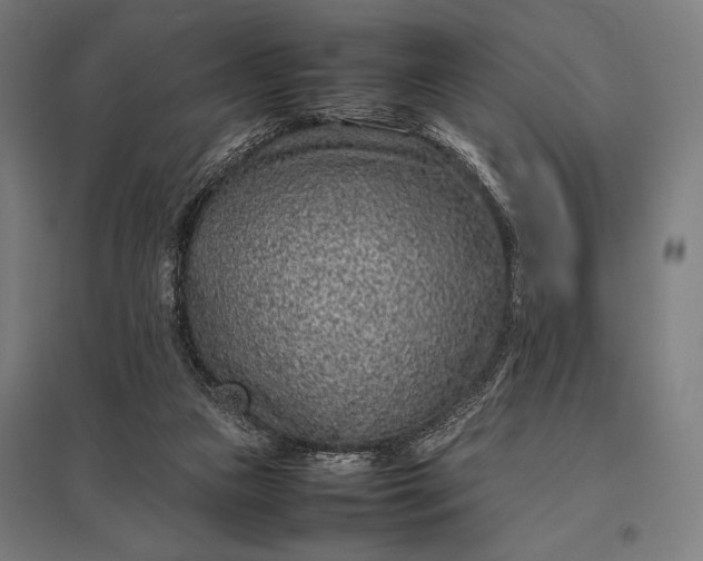 X0000097900161200803281347