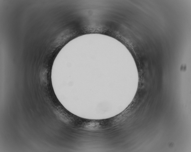 X0000097900162200803281347