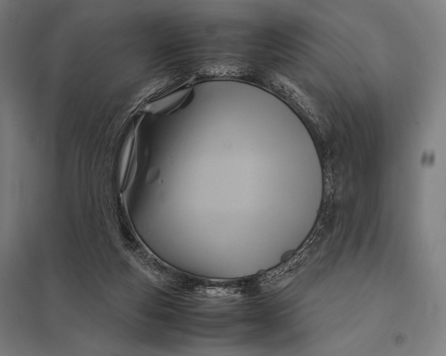 X0000097900163200803281347