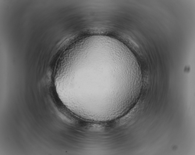 X0000097900166200803281347