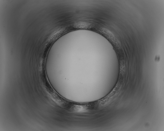 X0000097900167200803281347